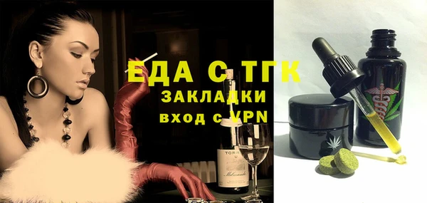 мдпв Гусев
