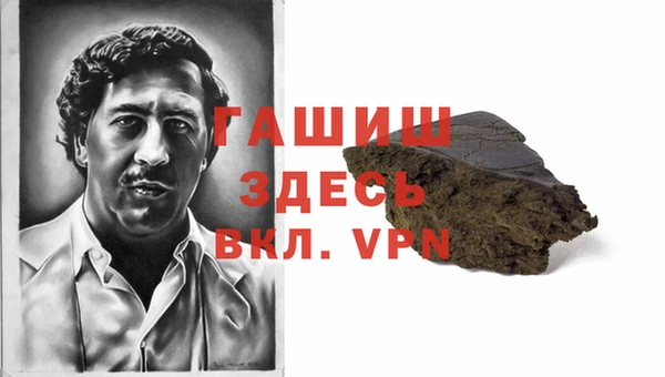 мдпв Гусев
