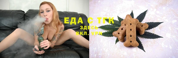 мдпв Гусев