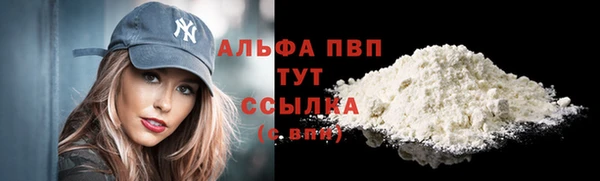мдпв Гусев