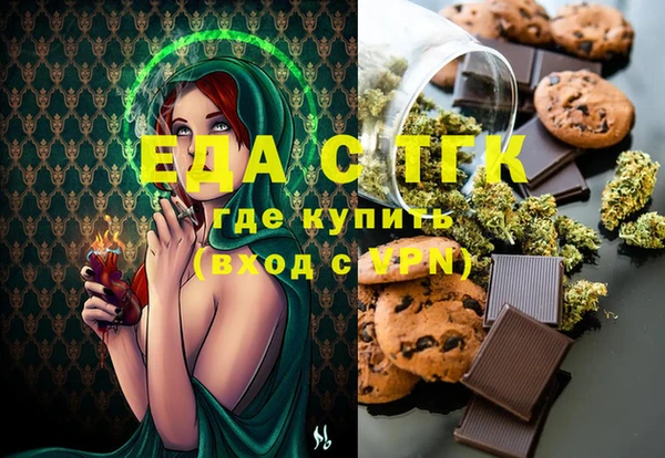 мдпв Гусев