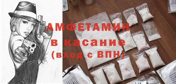 мдпв Гусев