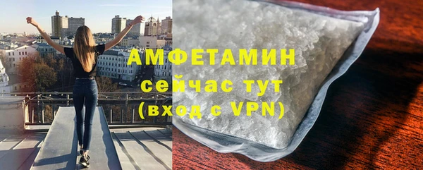 мдпв Гусев