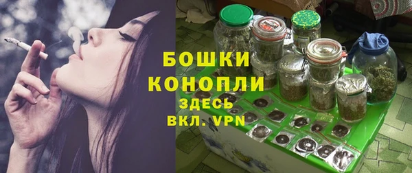 мдпв Гусев
