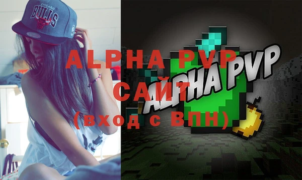 мдпв Гусев