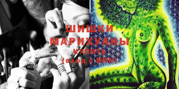 мдпв Гусев