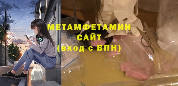 мдпв Гусев