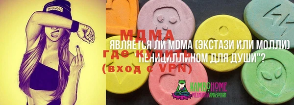 мдпв Гусев