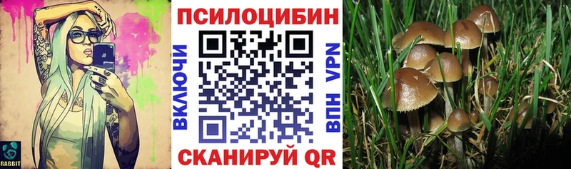 Купить закладки Екатеринбург Галлюциногенные грибы Magic Shrooms